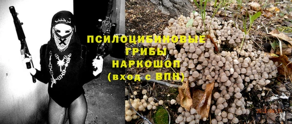 бошки Алексин
