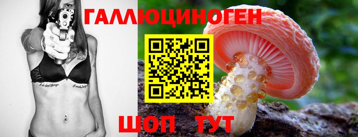 Сосновоборск  Псилоцибиновые грибы GOLDEN TEACHER  Вход с VPN 